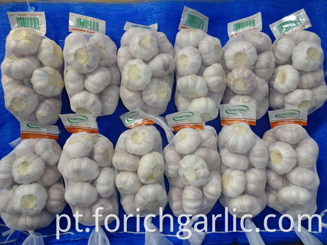 New Fresh Garlic